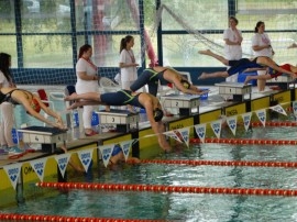 Olimpovci osvojili 9 medalja na Festivalu plivanja