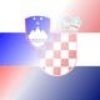 Mihael Vukić i Goran Koprivnjak u reprezentaciji